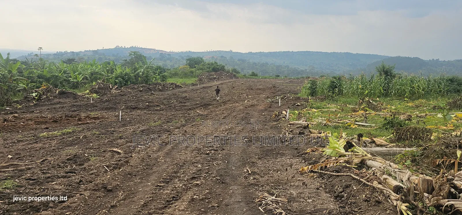 Wakiso Namayumba Plots Available for Sale 200 MTRS on Tamrac