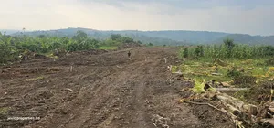 Wakiso Namayumba Plots Available for Sale 200 MTRS on Tamrac
