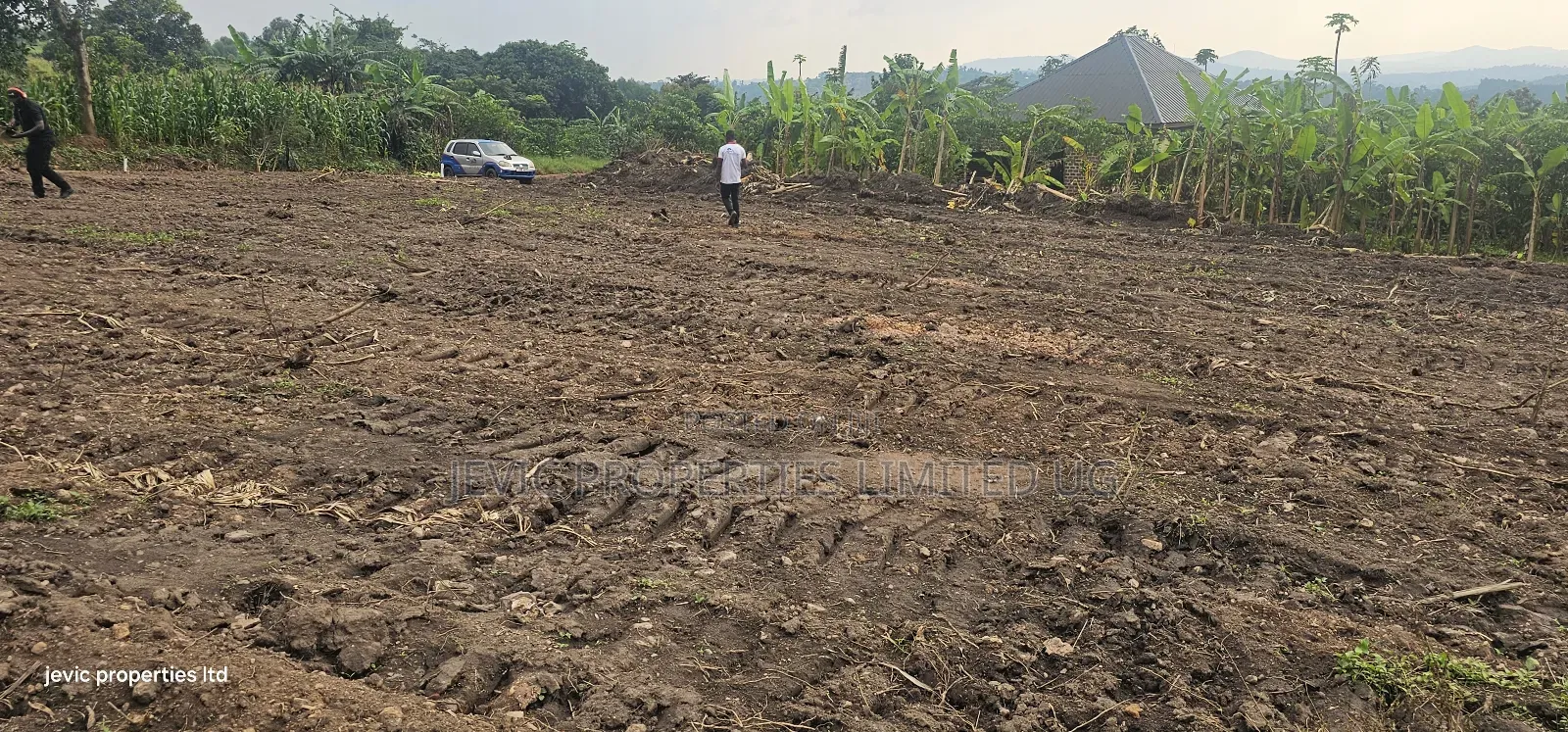 Wakiso Namayumba Plots Available for Sale 200 MTRS on Tamrac