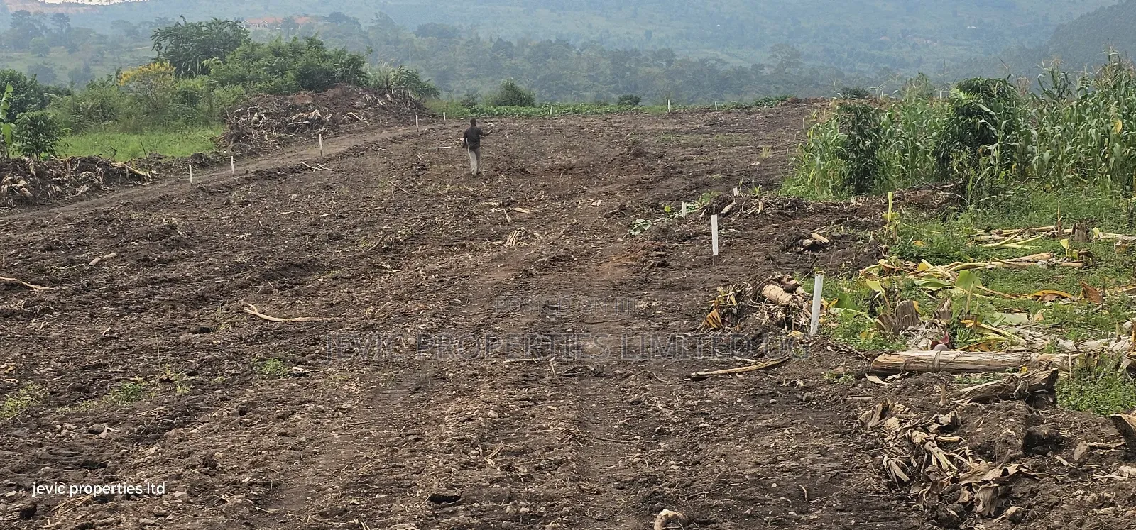 Wakiso Namayumba Plots Available for Sale 200 MTRS on Tamrac