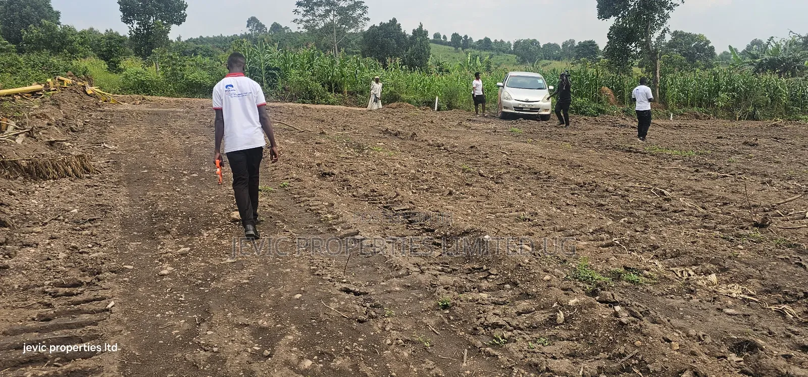 Wakiso Namayumba Plots Available for Sale 200 MTRS on Tamrac