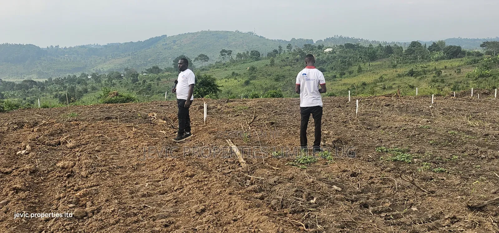 Wakiso Namayumba Plots Available for Sale 200 MTRS on Tamrac