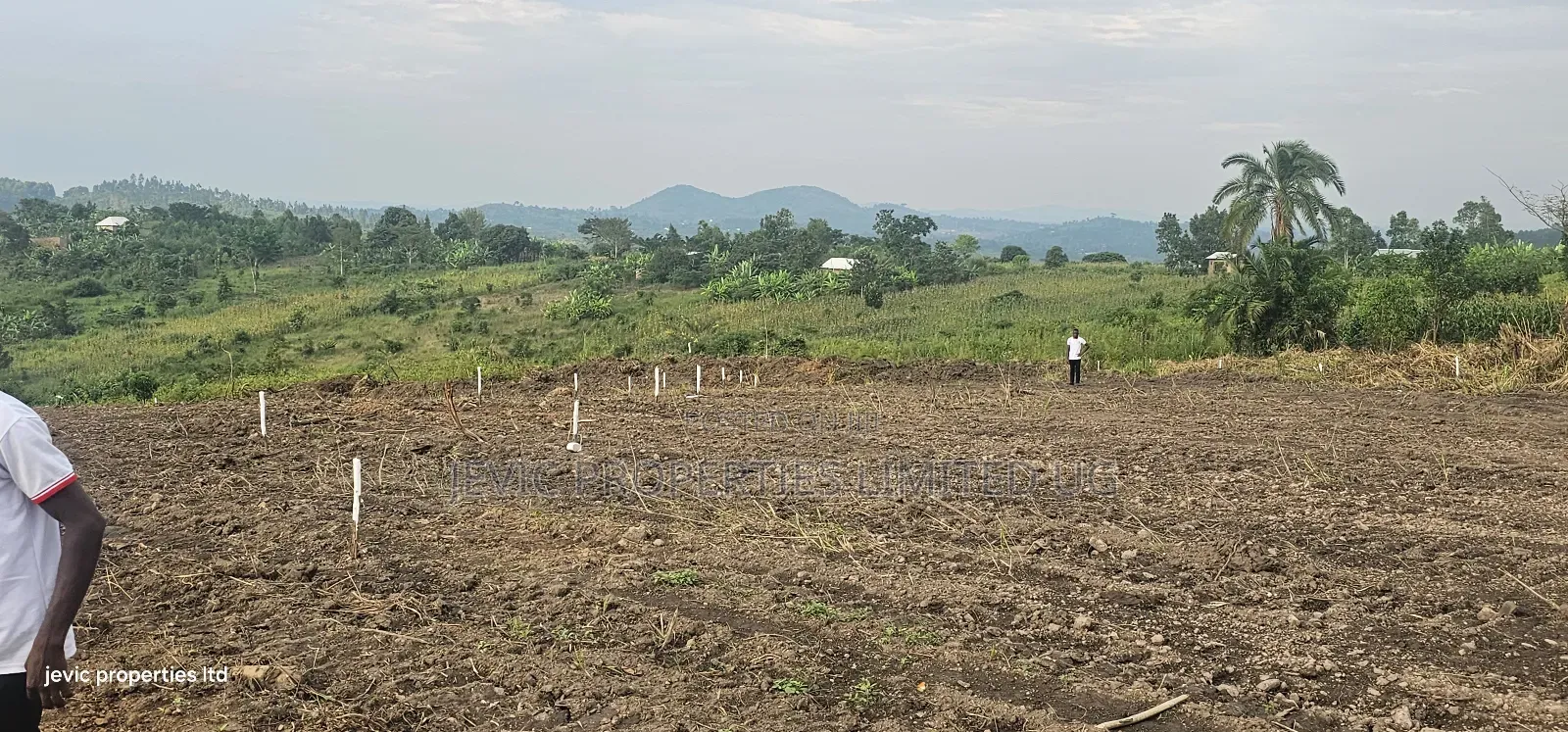 Wakiso Namayumba Plots Available for Sale 200 MTRS on Tamrac