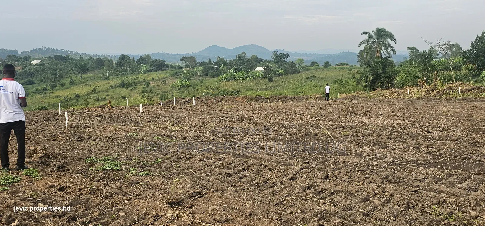 Wakiso Namayumba Plots Available for Sale 200 MTRS on Tamrac