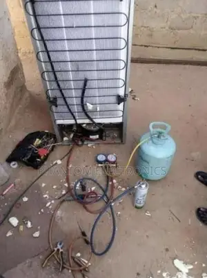 We Repair Fridges to Your Needs