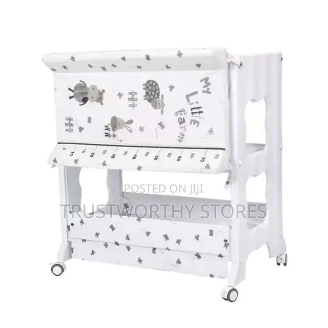 Movable Baby Bathing Station