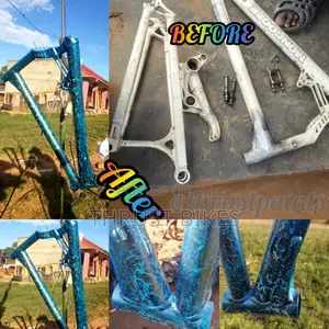 Photo - Bike Spraying Customizing