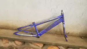 Bike Spraying and Restoration
