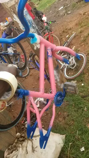 Bike Spraying and Restoration