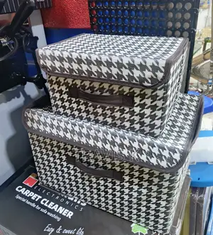 2pxs Foldable Storage Boxes