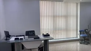 Window Blinds
