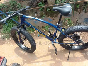 Big Tyre Bike For Adults
