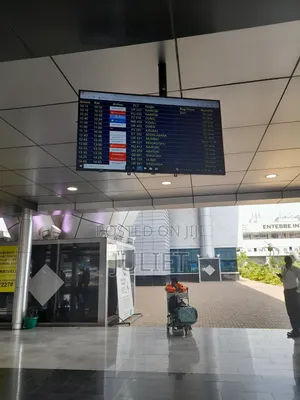 Photo - Julie the Boss Baby Airport Pick Up and Transport Services
