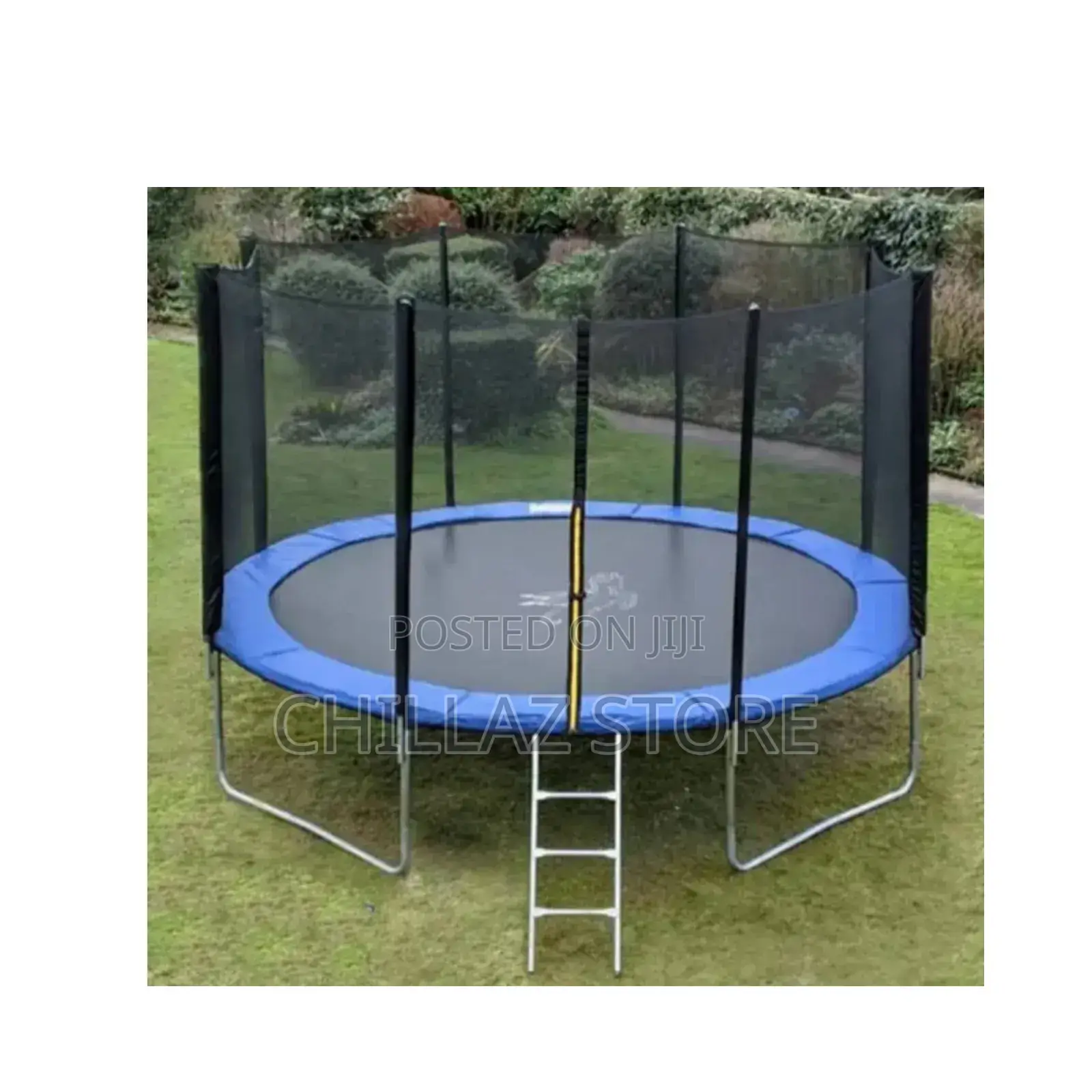 12 FTS Trampoline With Ladders.