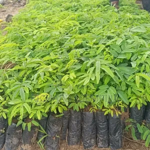 Photo - Farm Suppliers
