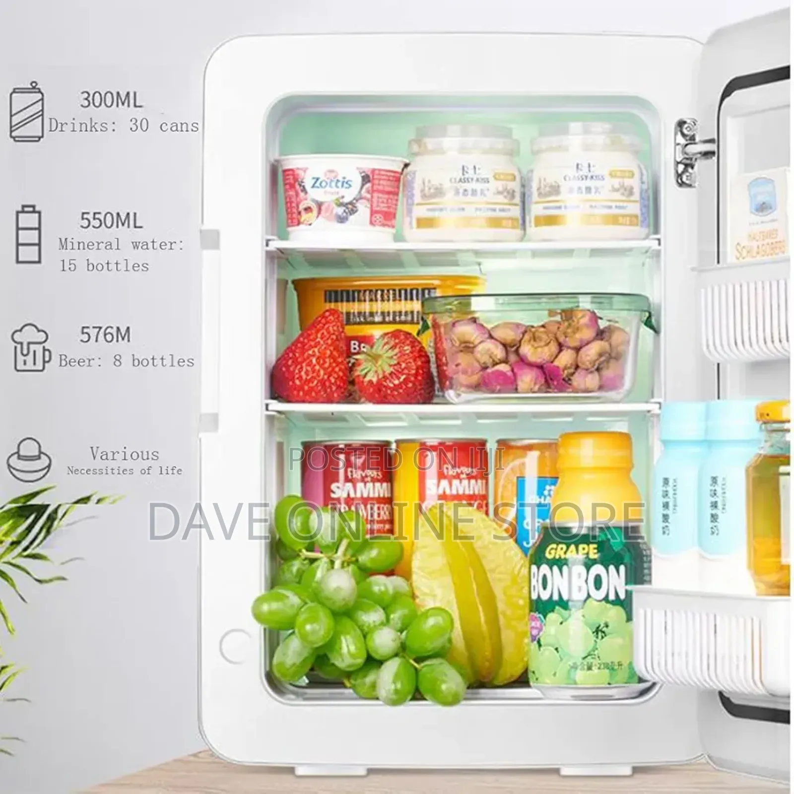 Sast 8 Litre Mini Car Fridge