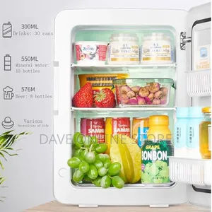 Sast 8 Litre Mini Car Fridge