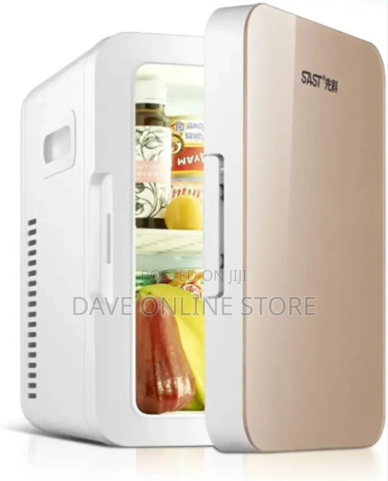 Sast 8 Litre Mini Car Fridge