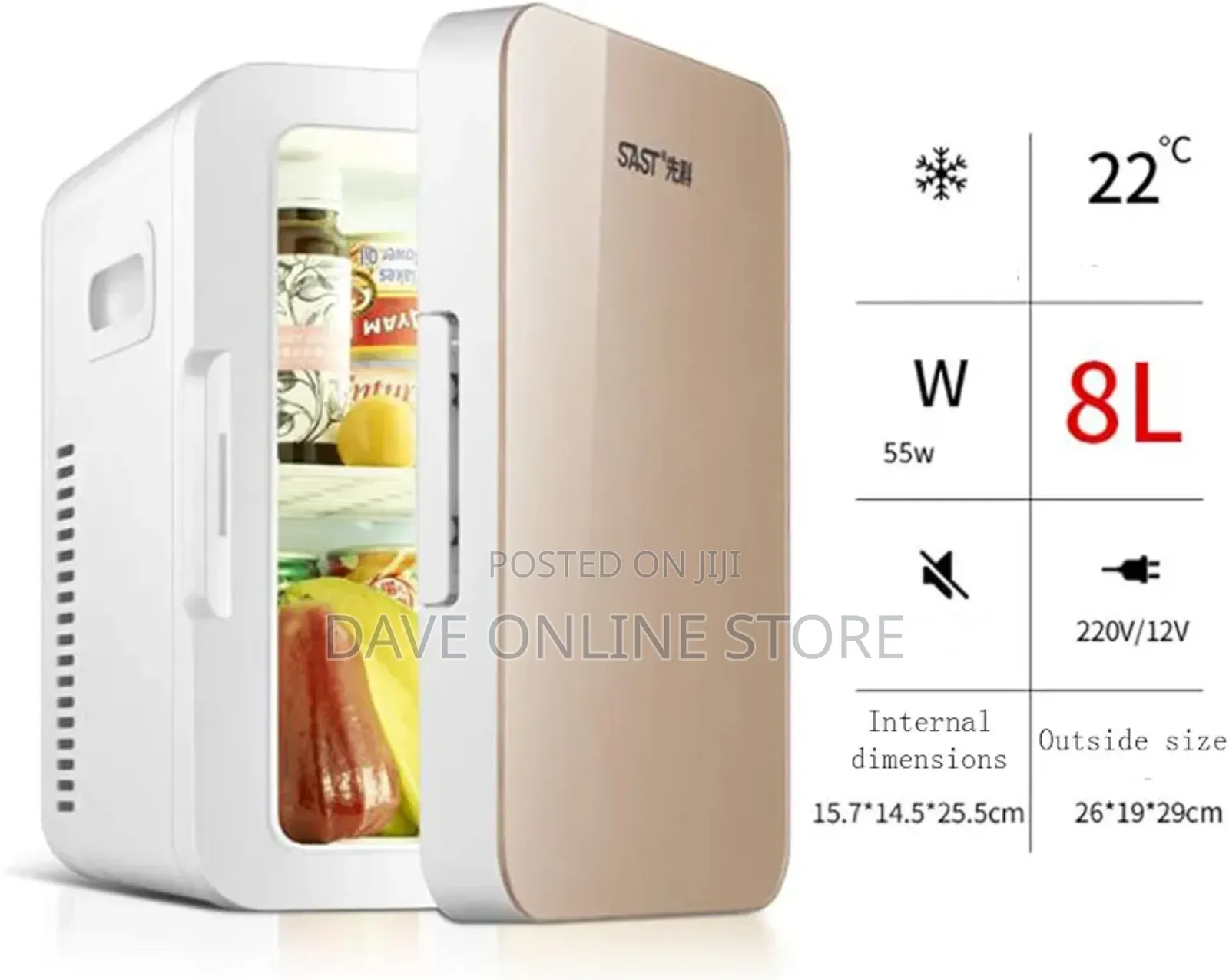 Sast 8 Litre Mini Car Fridge