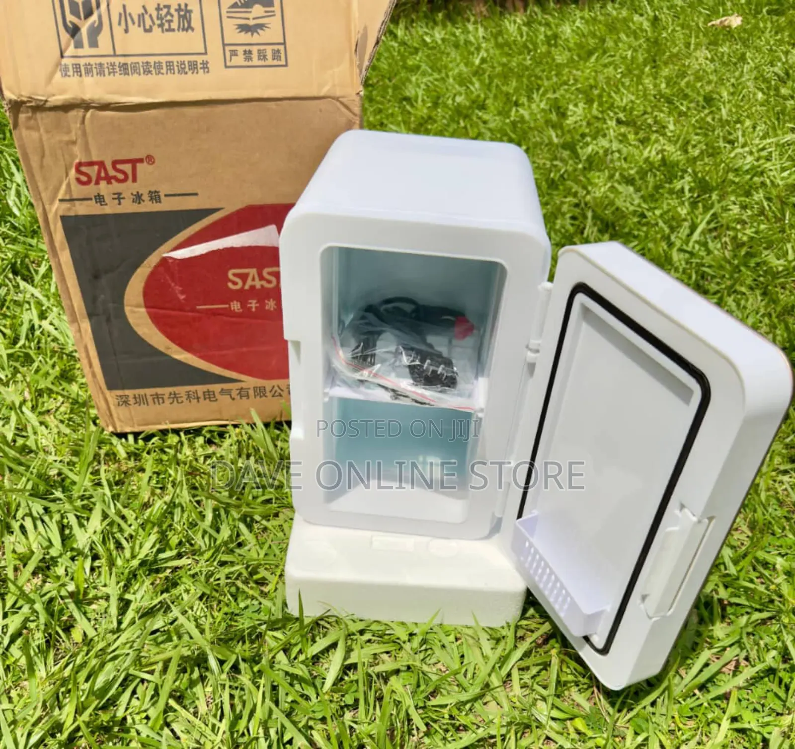 Sast 8 Litre Mini Car Fridge