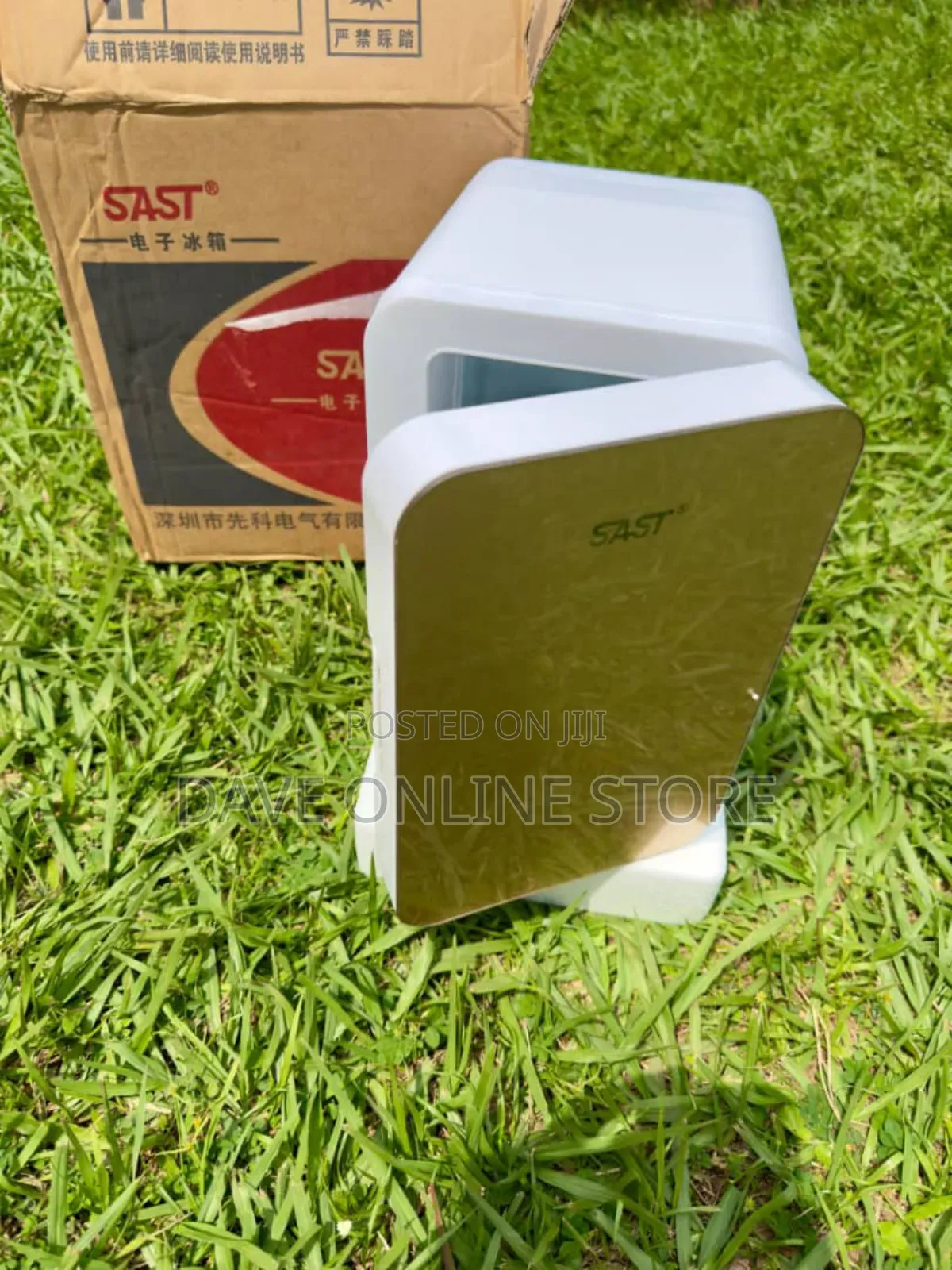 Sast 8 Litre Mini Car Fridge