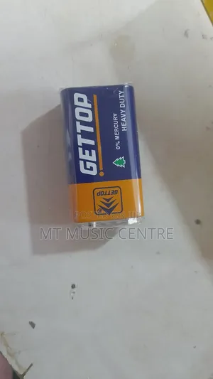 Gettop Heavy Duty Microphone Batteries