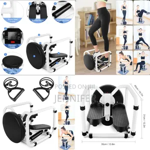 Sky Land 4in1 Multifunction Stepper