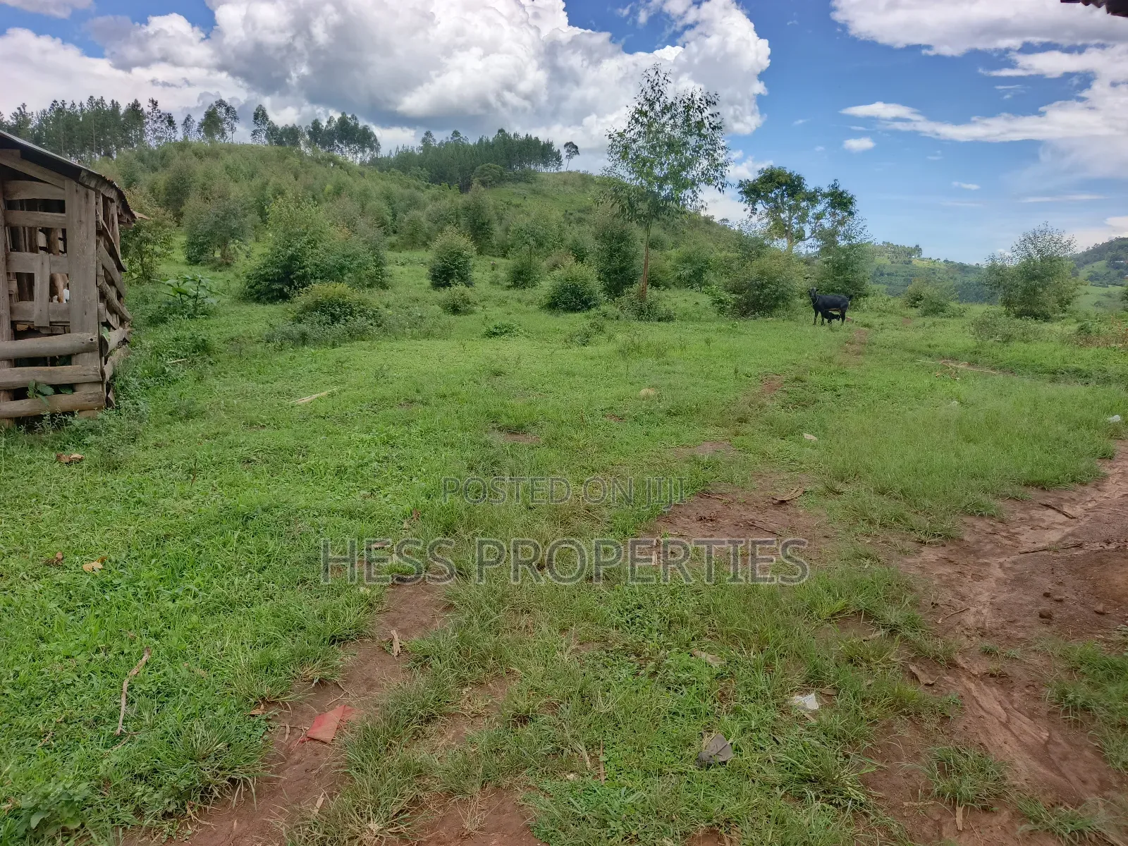 18acres of Land on Sale Located in Bugaaki Sub County-Kasa