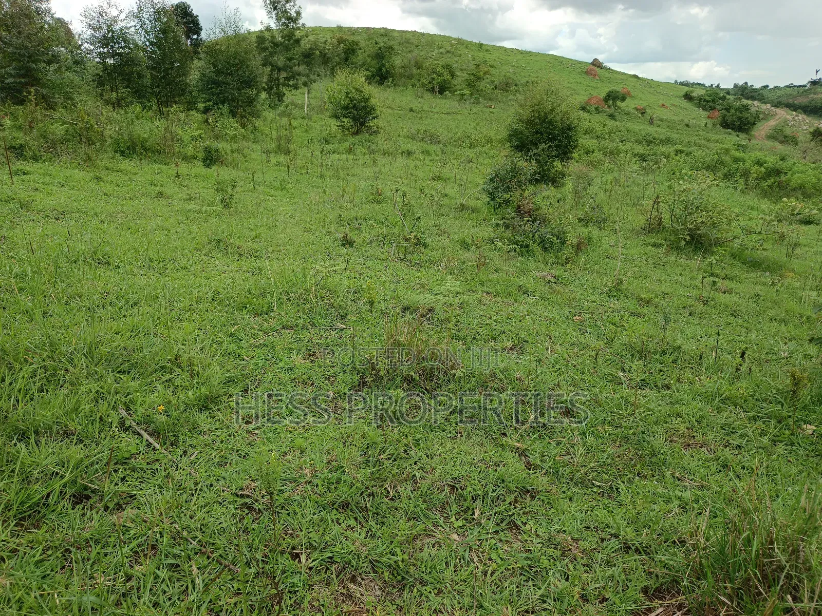 18acres of Land on Sale Located in Bugaaki Sub County-Kasa