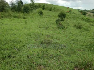 18acres of Land on Sale Located in Bugaaki Sub County-Kasa