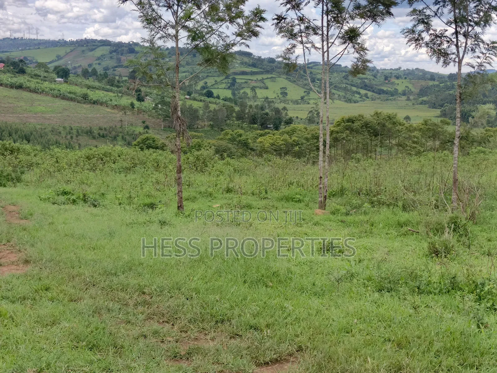 18acres of Land on Sale Located in Bugaaki Sub County-Kasa