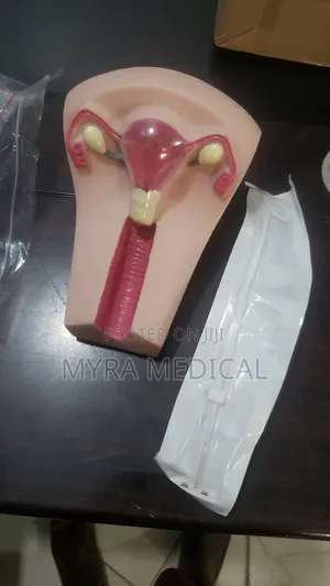 Pelvic Iud Training Model