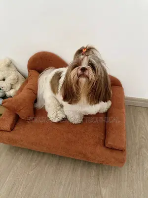 Pet Bed / Pet Sofas for Cats and Dogs.
