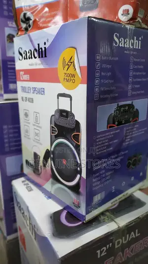 Saachi Portable Rechargeable Speaker With a Free Microphone.