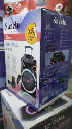 Saachi Portable Rechargeable Speaker With a Free Microphone.