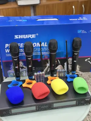 Sure Professional Wireless Microphone