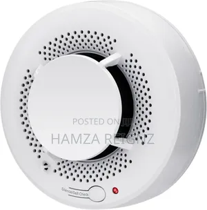 2-in-1 Smoke and Heat Detector Fire Alarms Smoke Detectors