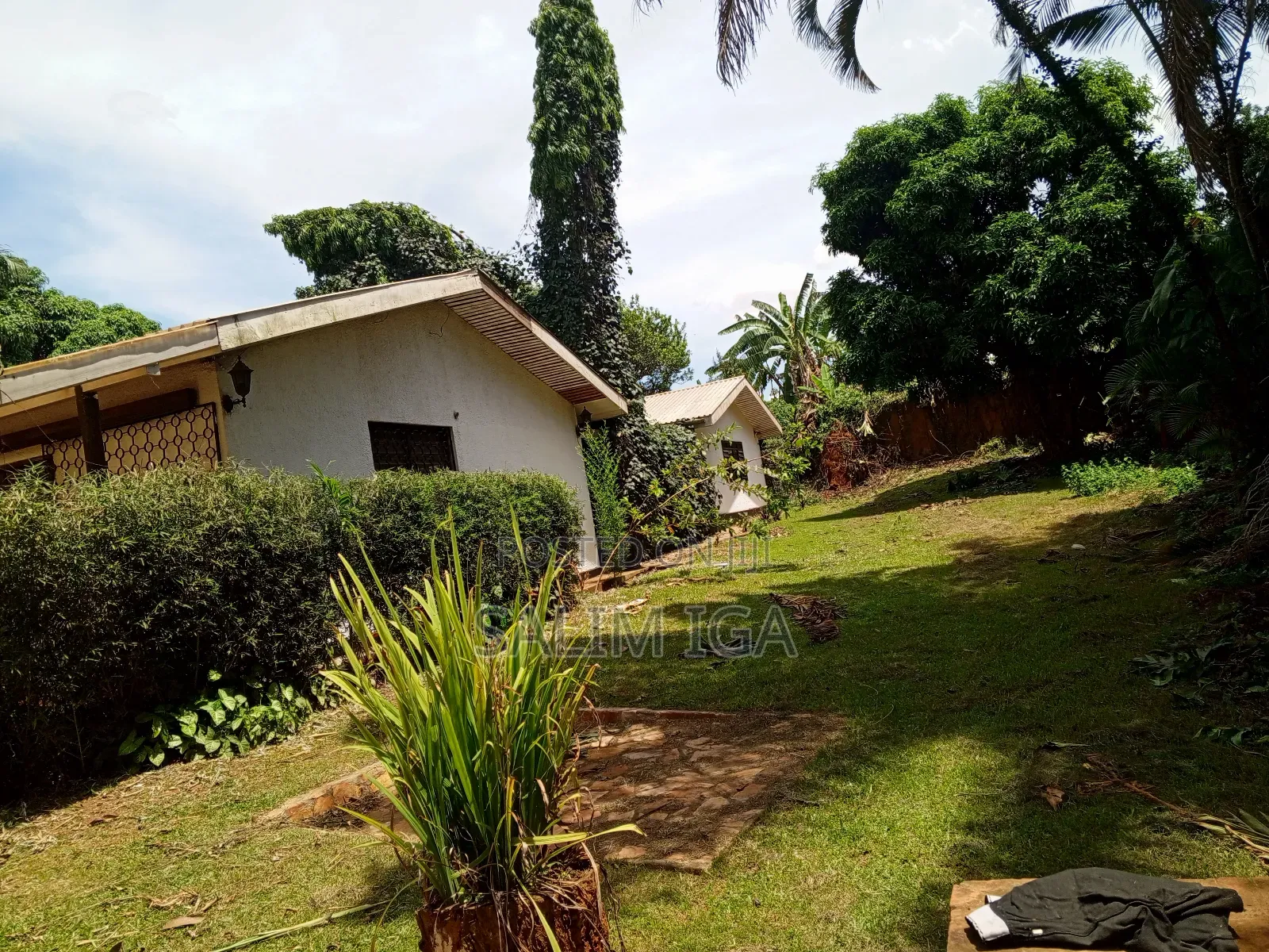 3bdrm Bungalow in Kololo Property, Central Division for rent