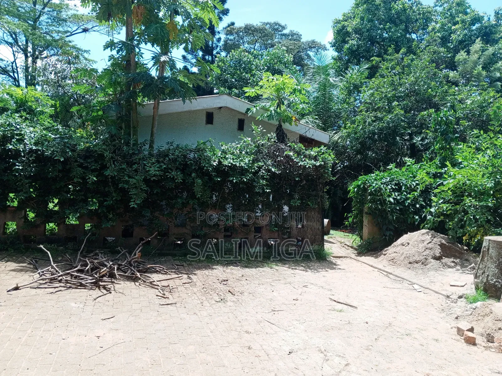 3bdrm Bungalow in Kololo Property, Central Division for rent