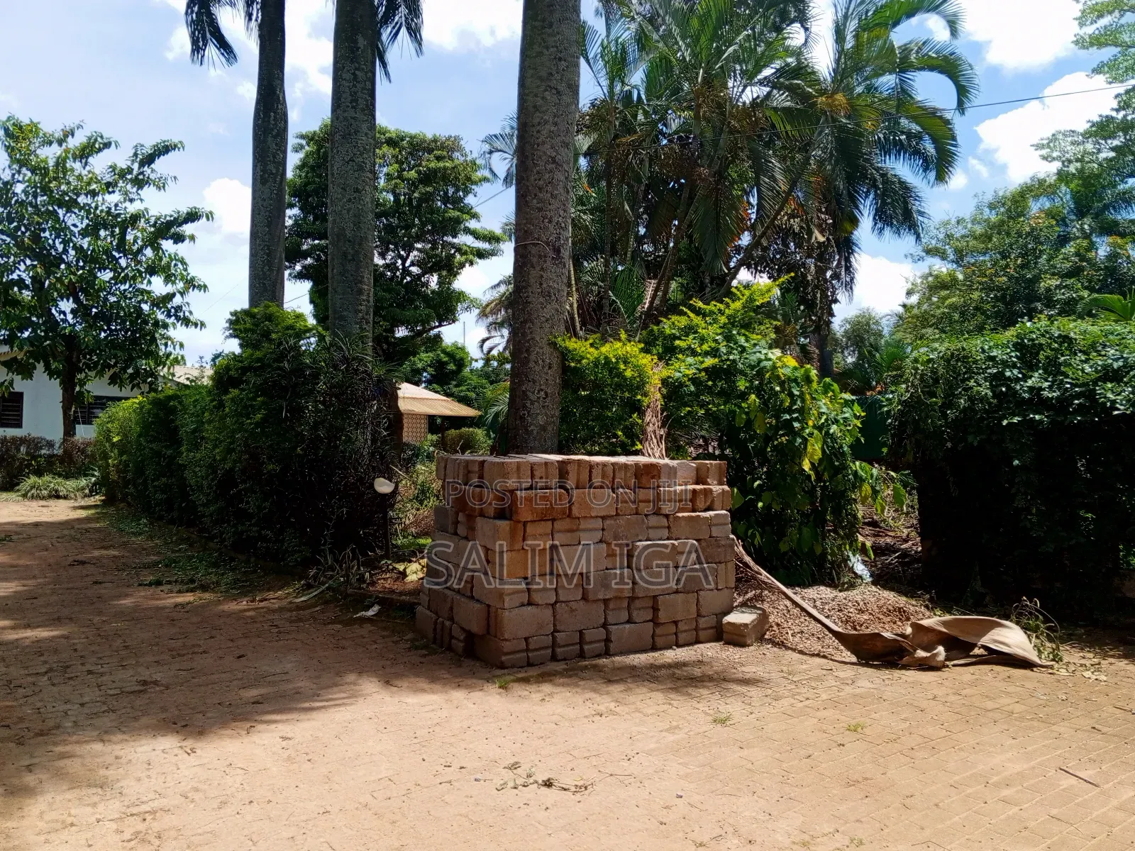 3bdrm Bungalow in Kololo Property, Central Division for rent