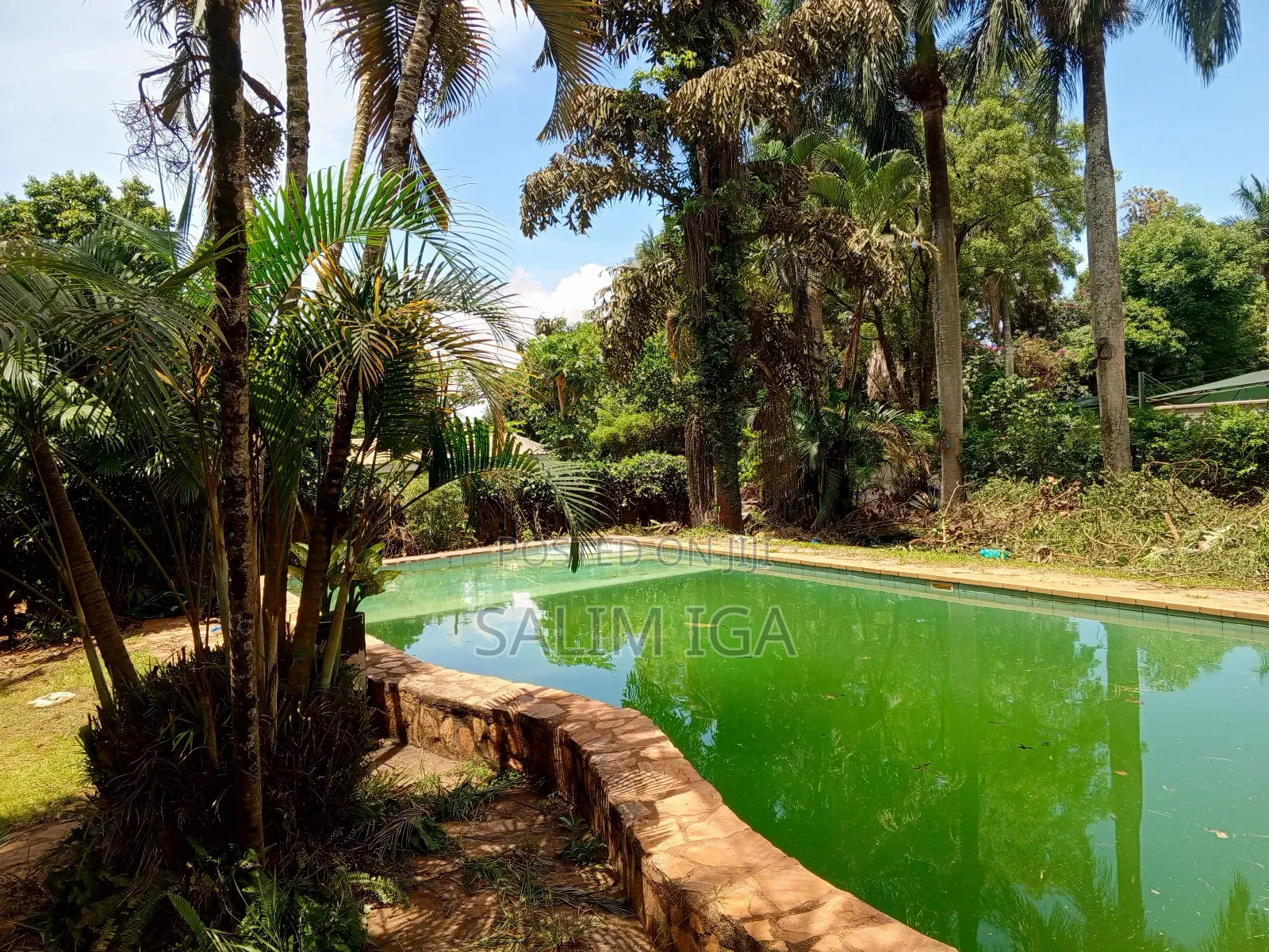 3bdrm Bungalow in Kololo Property, Central Division for rent