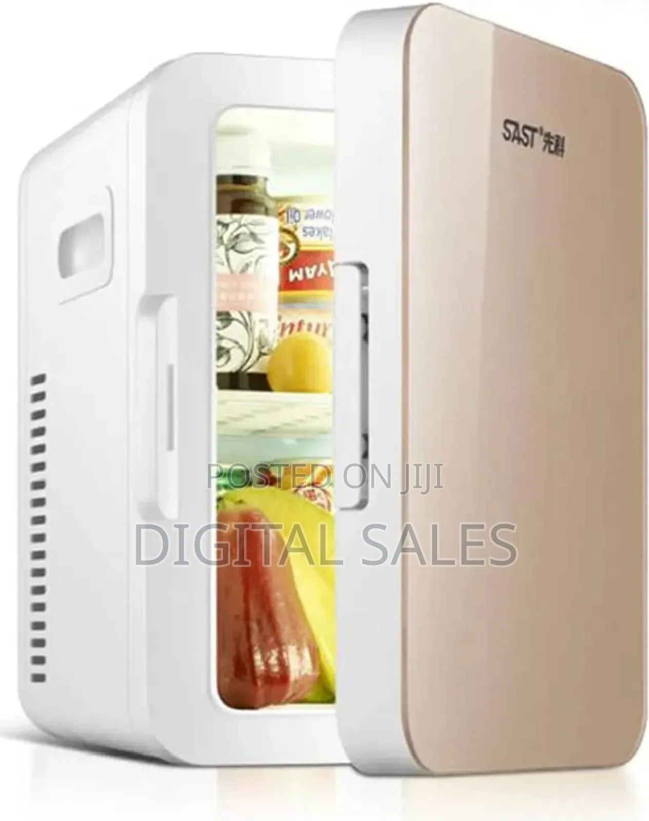 Mini Portable Fridge