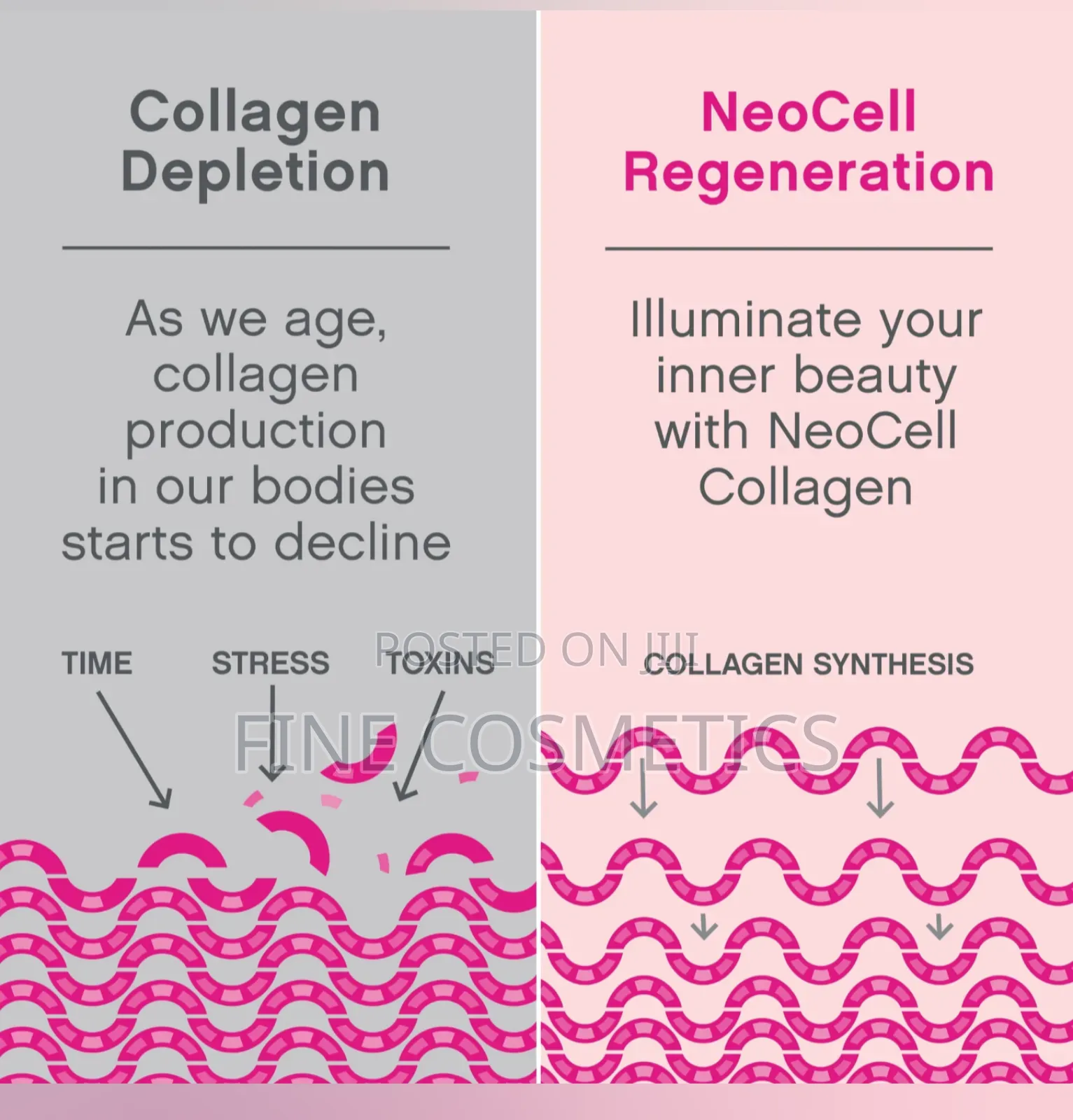 Wholesale Neocell Super Collagen Biotin Vitamin C Tablet 250