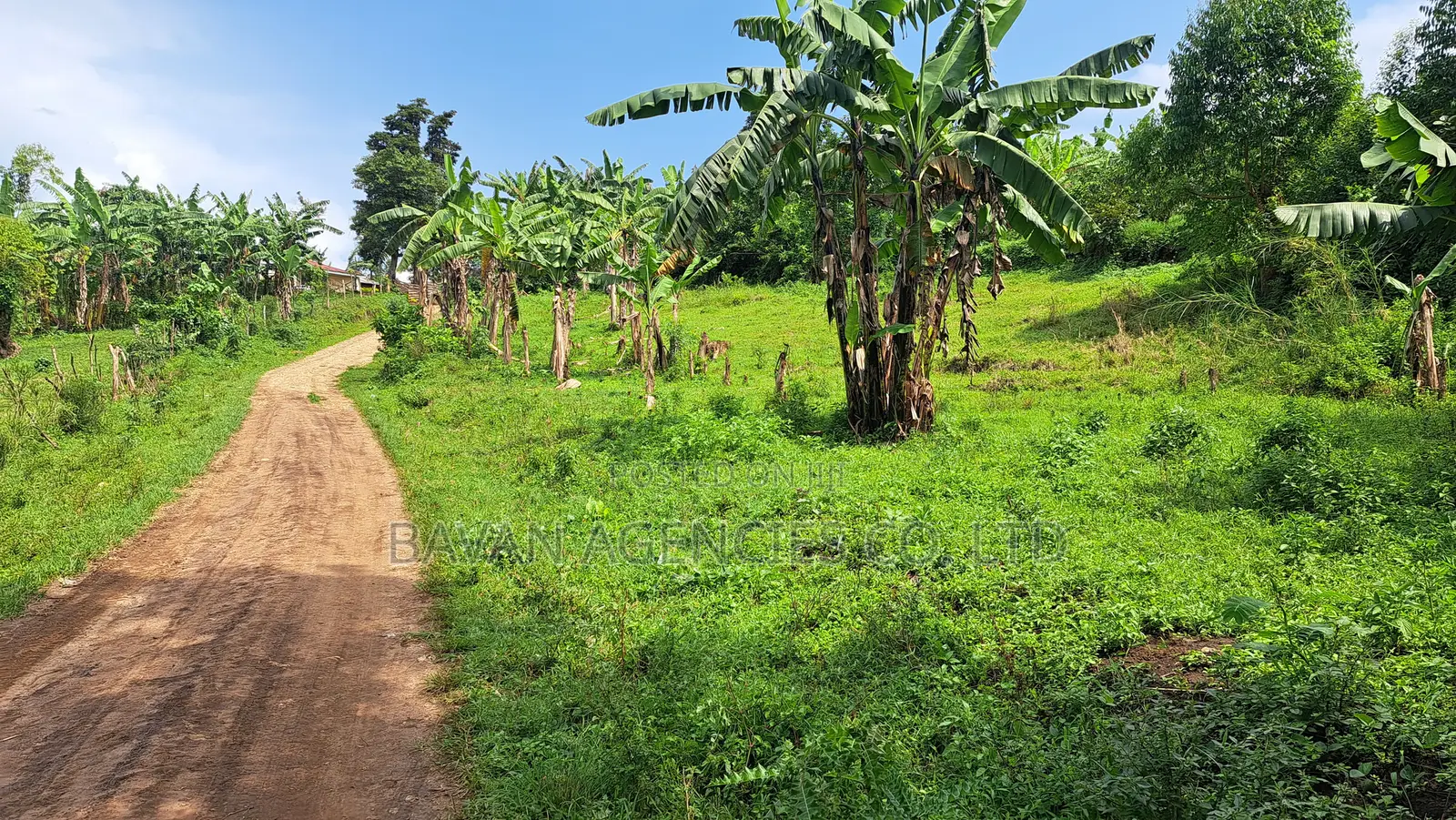 Large Plot of Land in Kiguma, Fort-Portal City