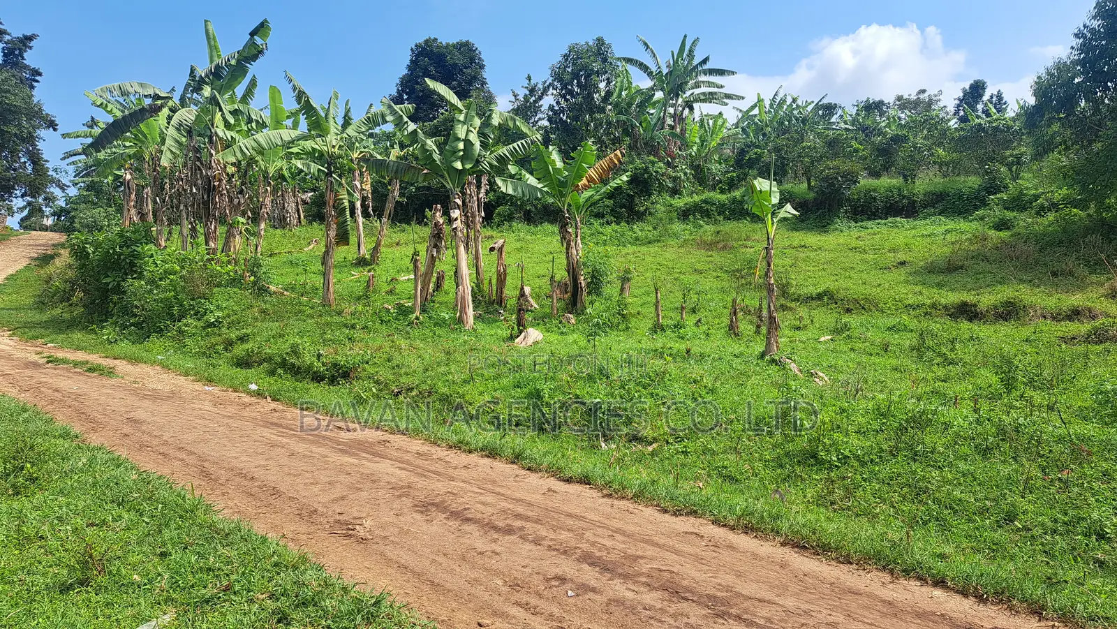 Large Plot of Land in Kiguma, Fort-Portal City