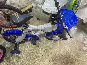 Blue Kids Bicycle