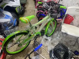 Green Brand New Bicycle