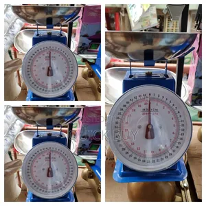 New Blue Stainless Steel 20kg Business Spring Scale