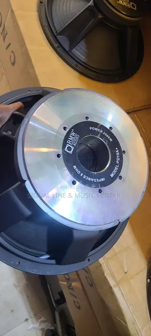 Woofer Speaker for Bass 18inch Big Magnet 125coil