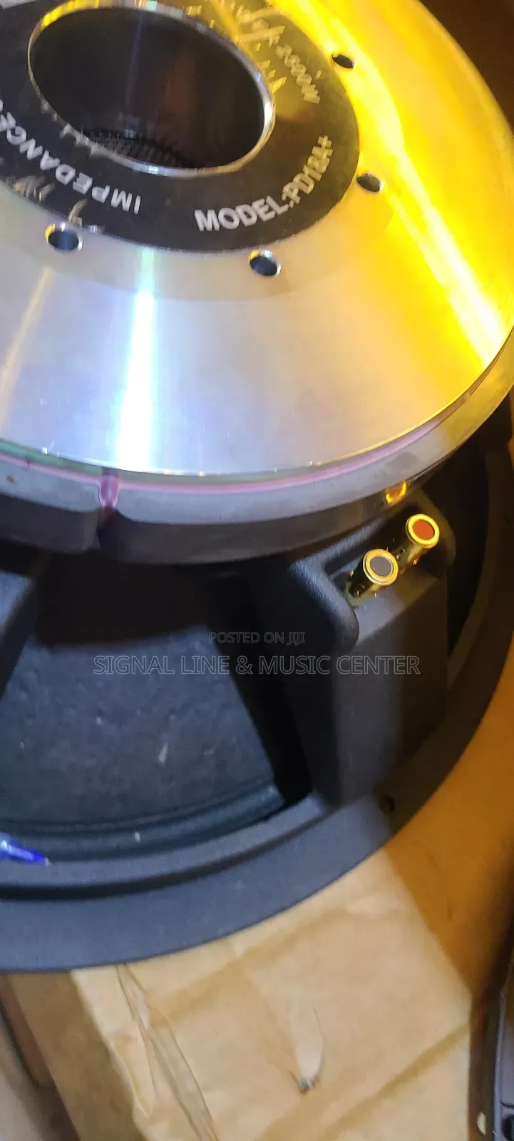 Woofer Speaker for Bass 18inch Big Magnet 125coil